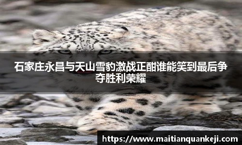 石家庄永昌与天山雪豹激战正酣谁能笑到最后争夺胜利荣耀