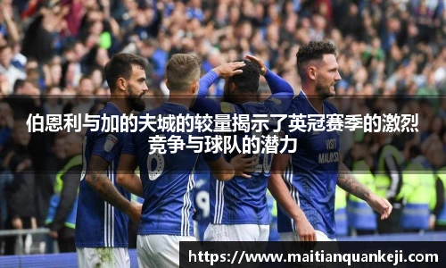 中欧体育