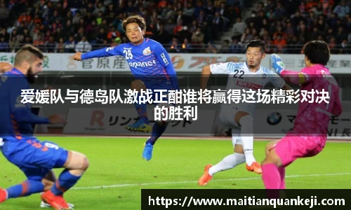 中欧体育网址